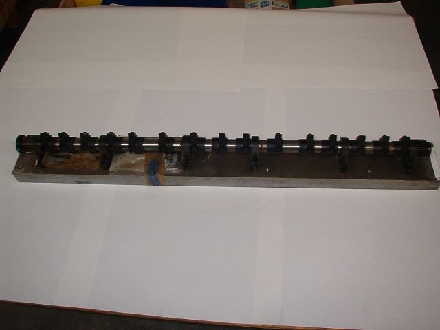 5604