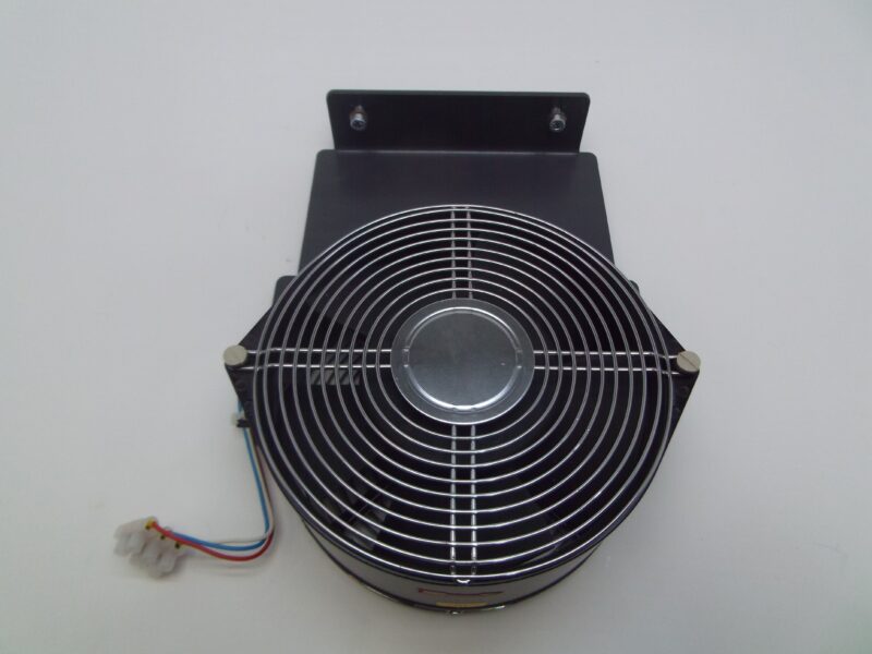 6655 scaled 6655 scaled