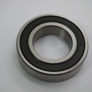 Bearing – 6005RS